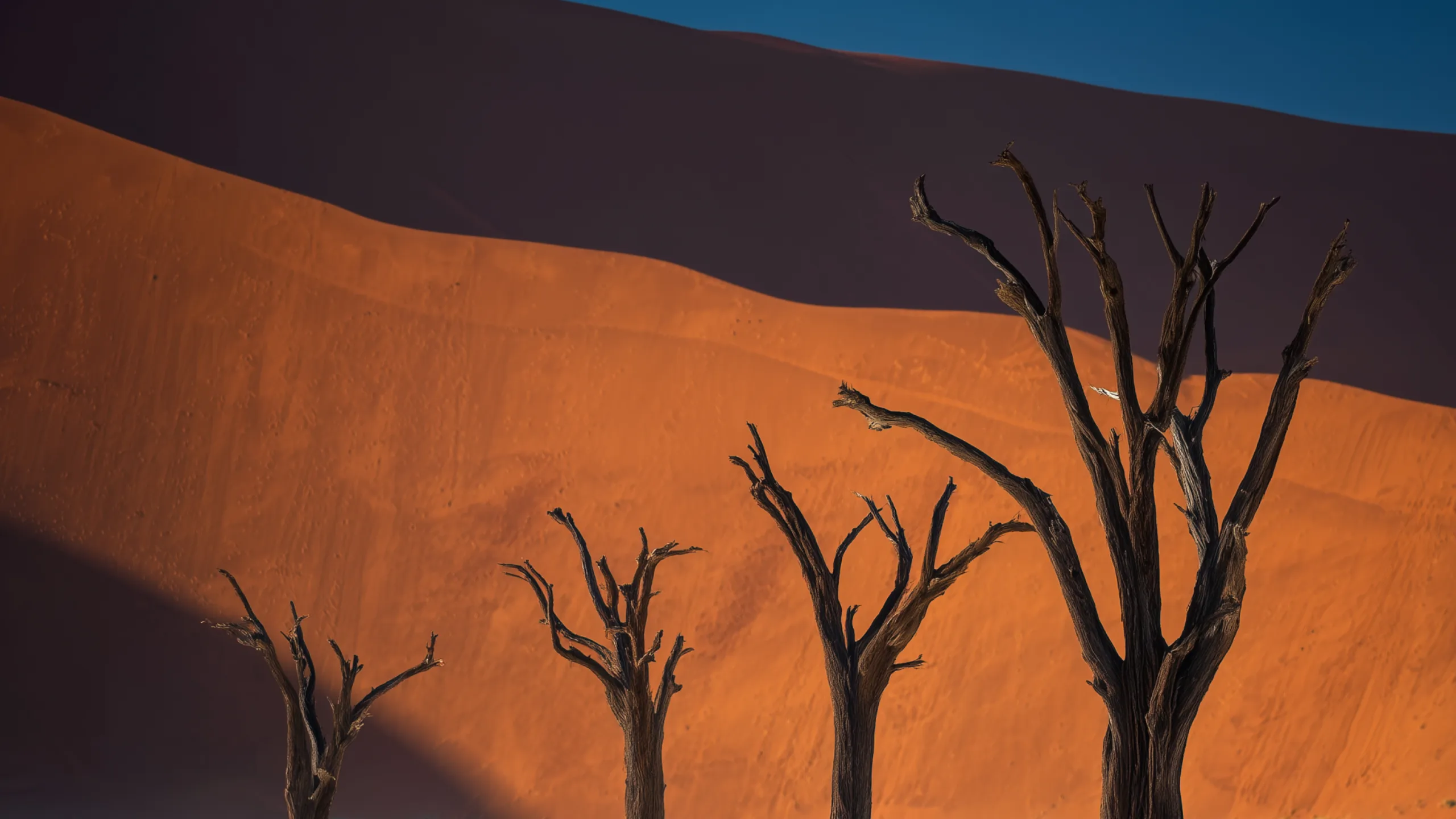 Deadvlei